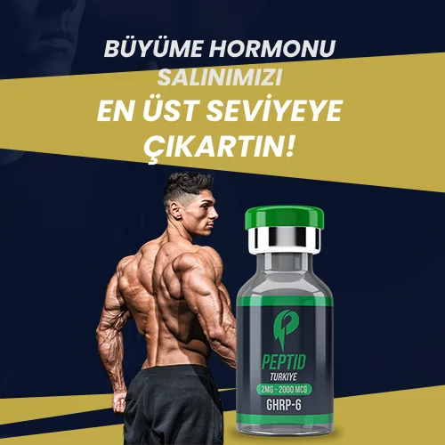 Kenar Çubuğu — Üst