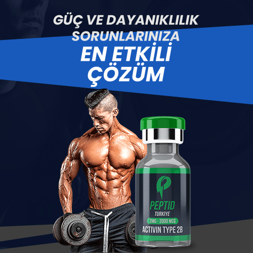 Kenar Çubuğu — Alt